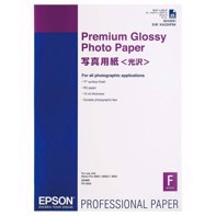 Epson Premium Glossy Photo Paper 255 g, A2 25 folhas 